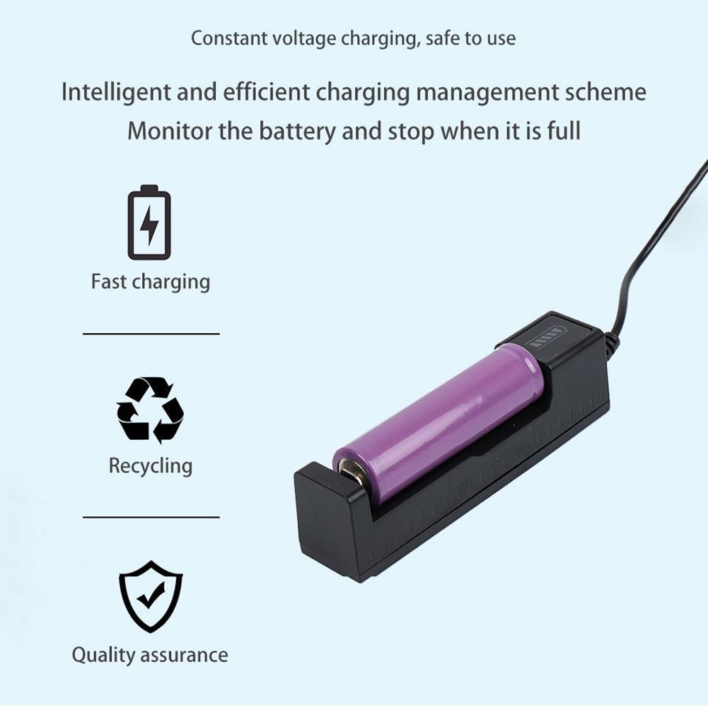 Caricabatterie Universale 1865 - Vape Battery 18650 recensione e prezzo