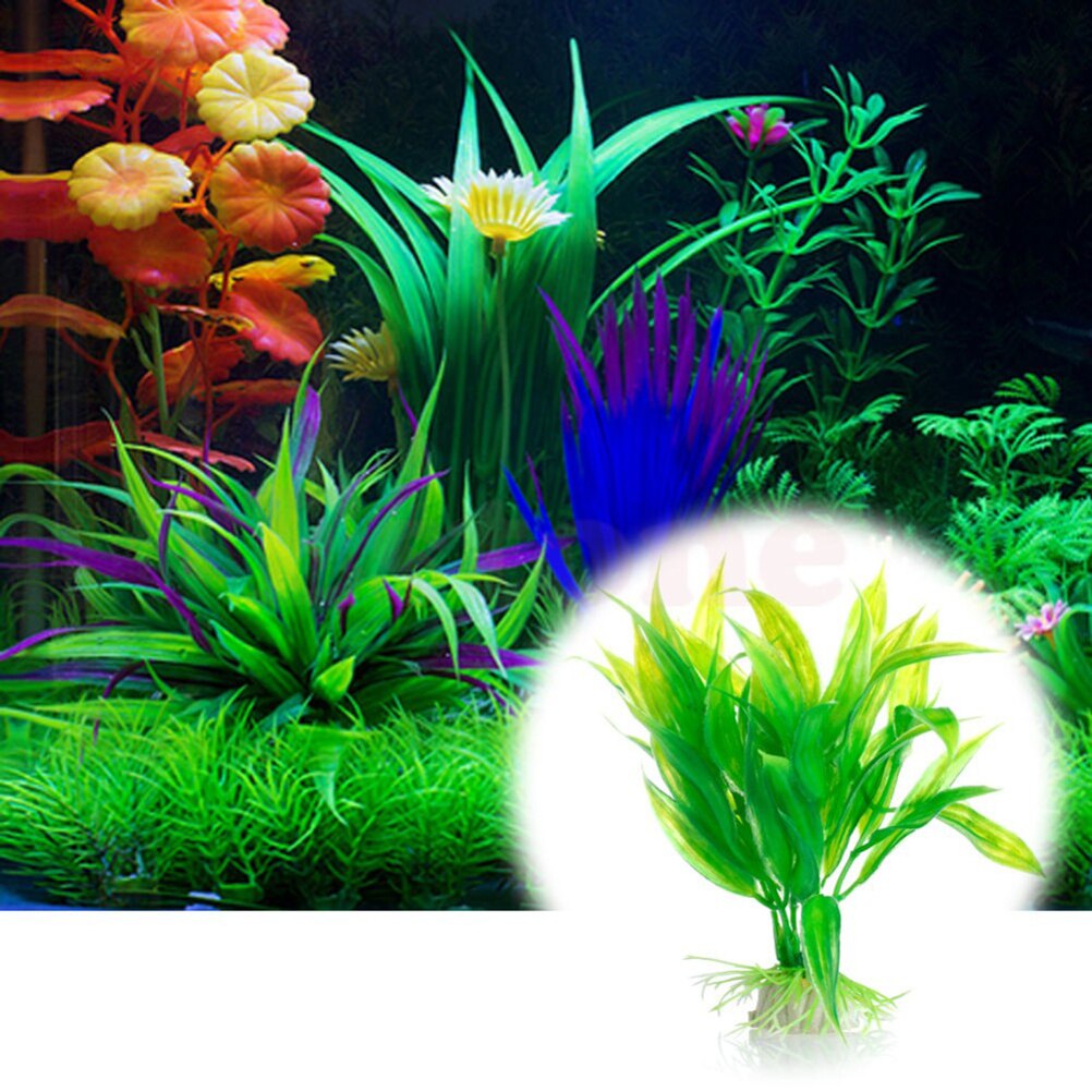 15cm artificiale acquario Deco - Dry Herb Vaping Accessories recensione e prezzo