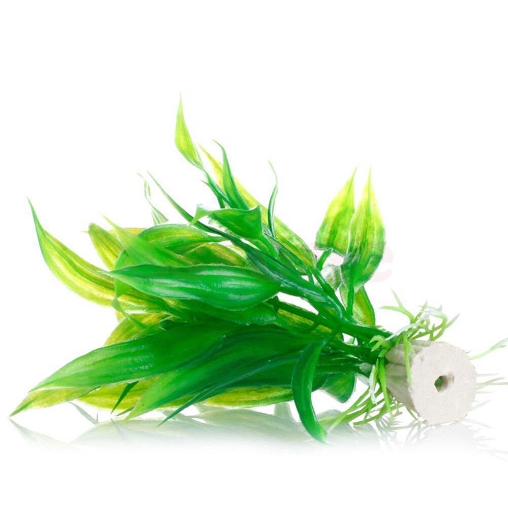 15cm artificiale acquario Deco - Dry Herb Vaping Accessories recensione e prezzo